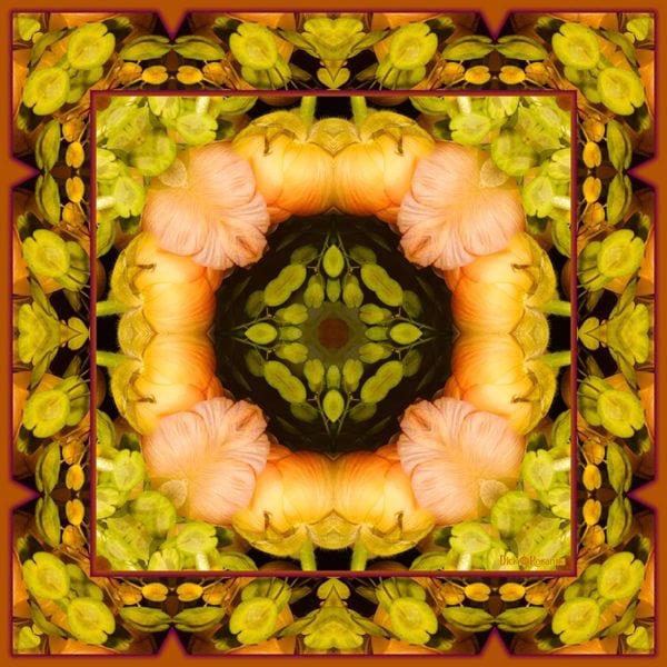 Circle of Delights