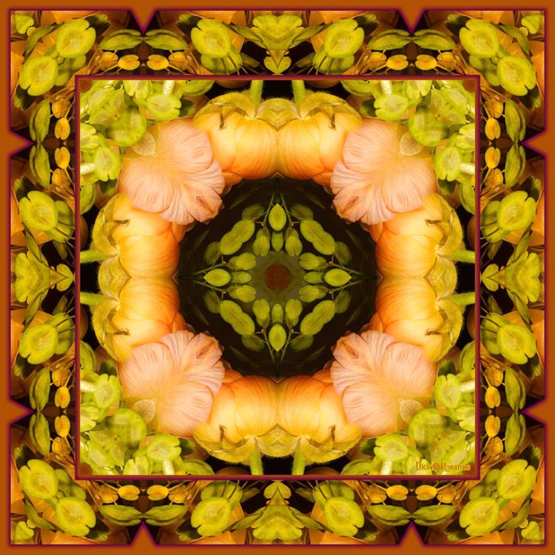 Circle of Delights