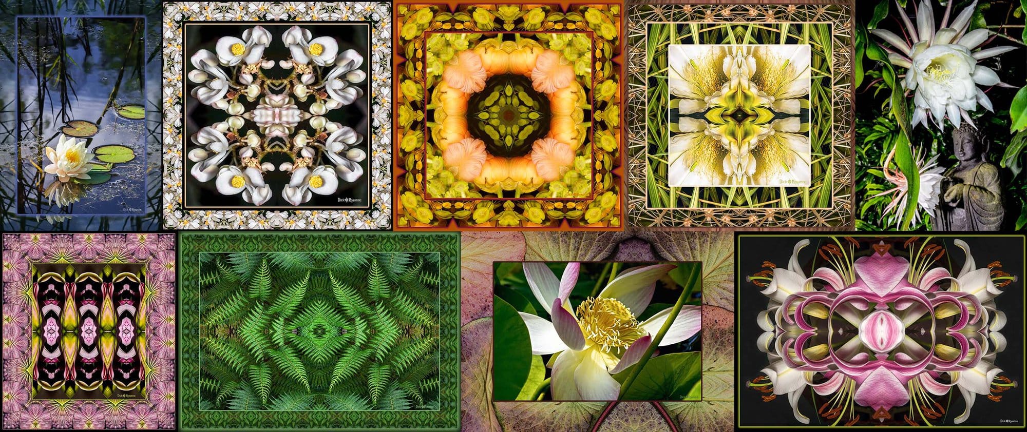 homepage intro collage 2