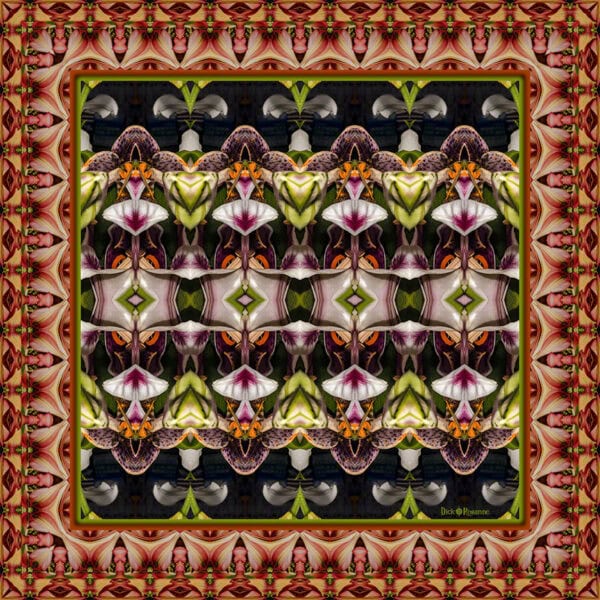 Bower of Bliss in Cephalopod Frame