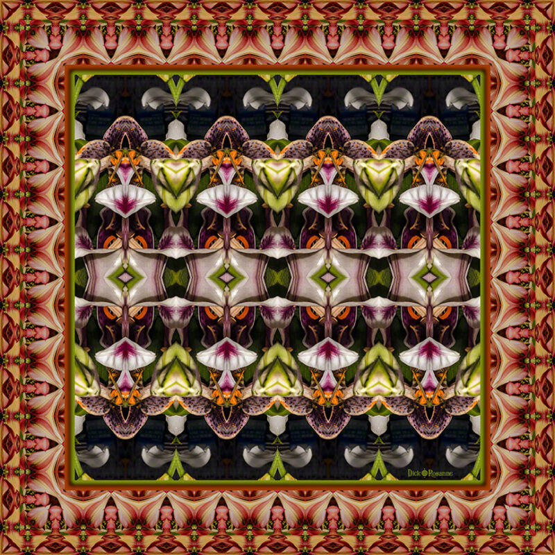 Bower of Bliss in Cephalopod Frame