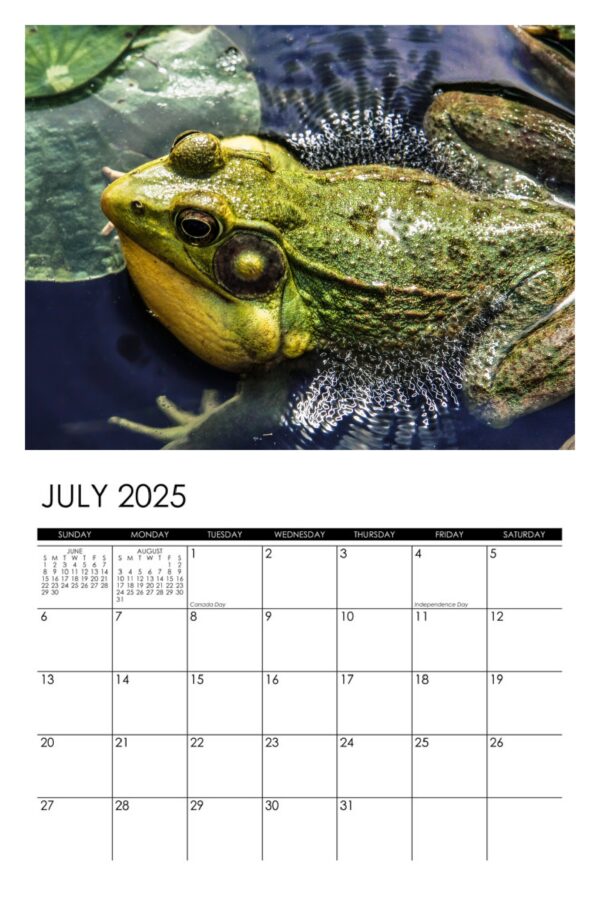 2025 Frogs Calendar - Image 8