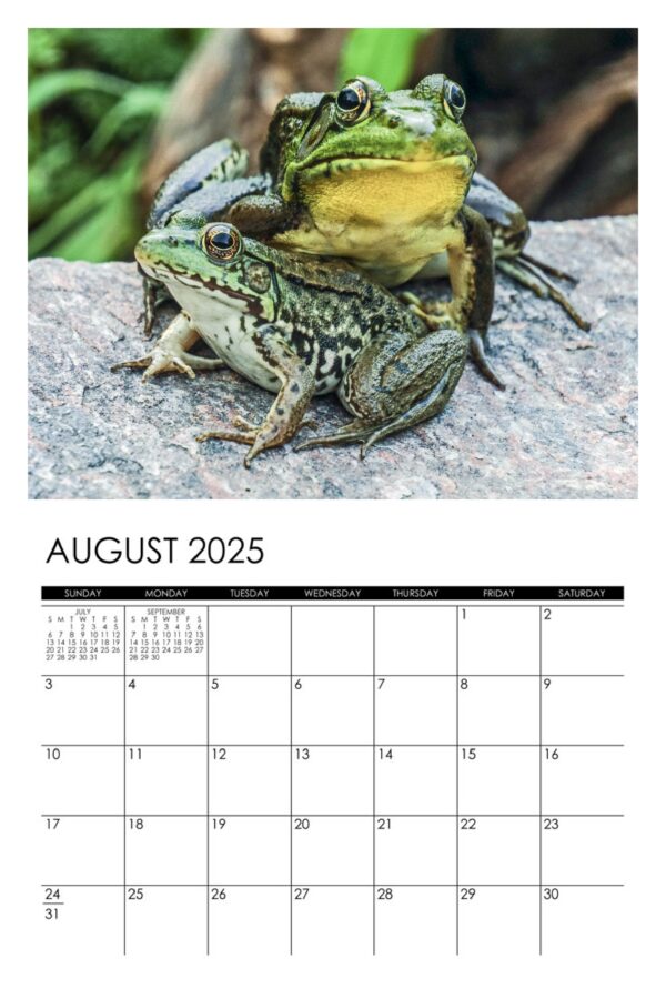 2025 Frogs Calendar - Image 9