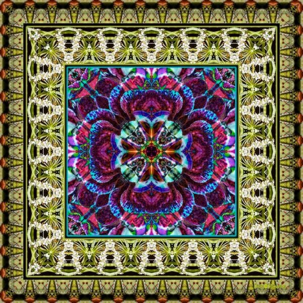 Flower Series