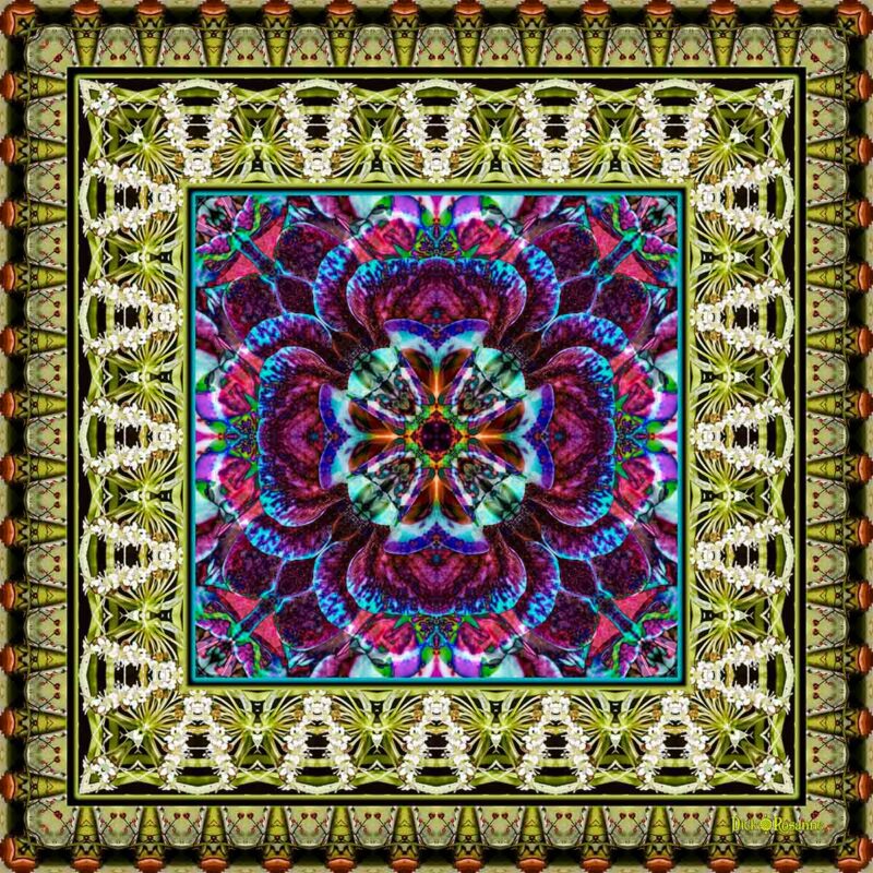 Flower Series