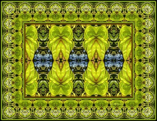 Convergence